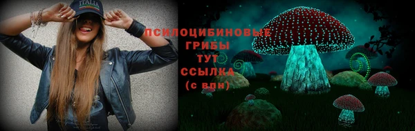 spice Алексин