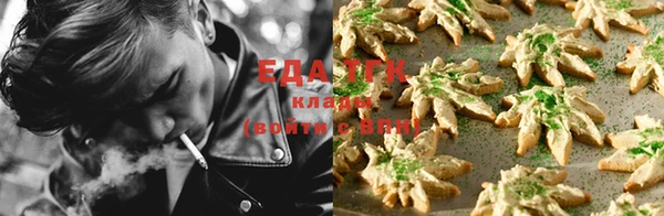spice Алексин